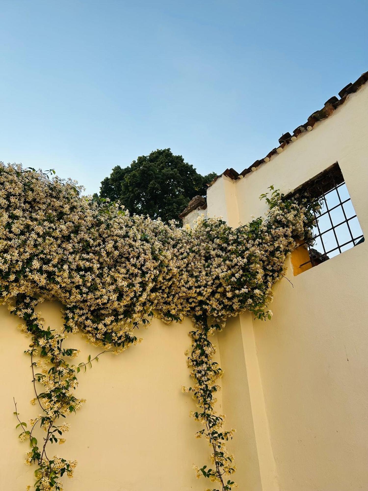 Pizzighettone Residenza La Corte Exterior foto