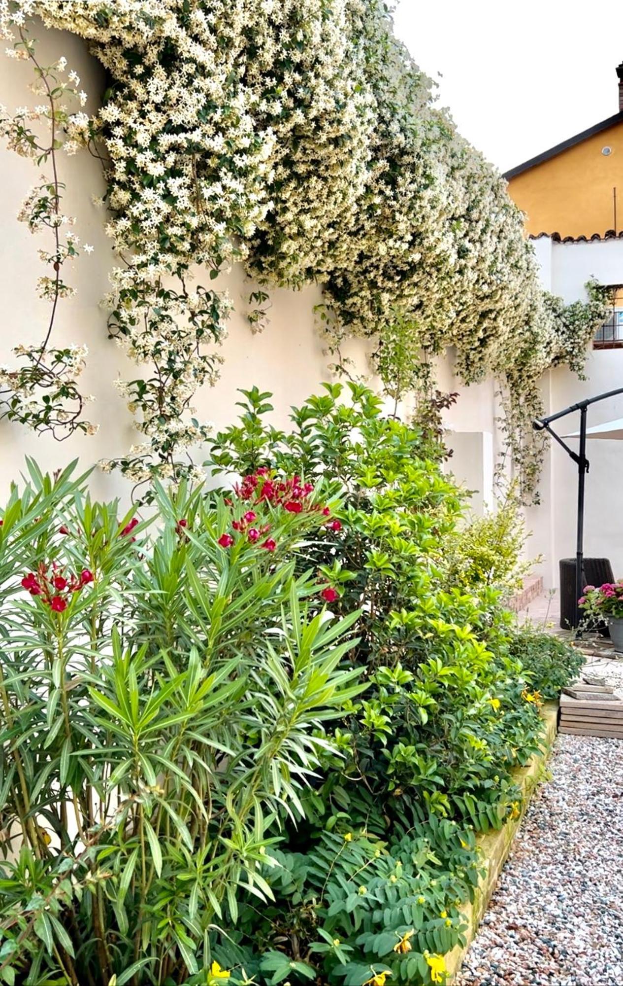 Pizzighettone Residenza La Corte Exterior foto