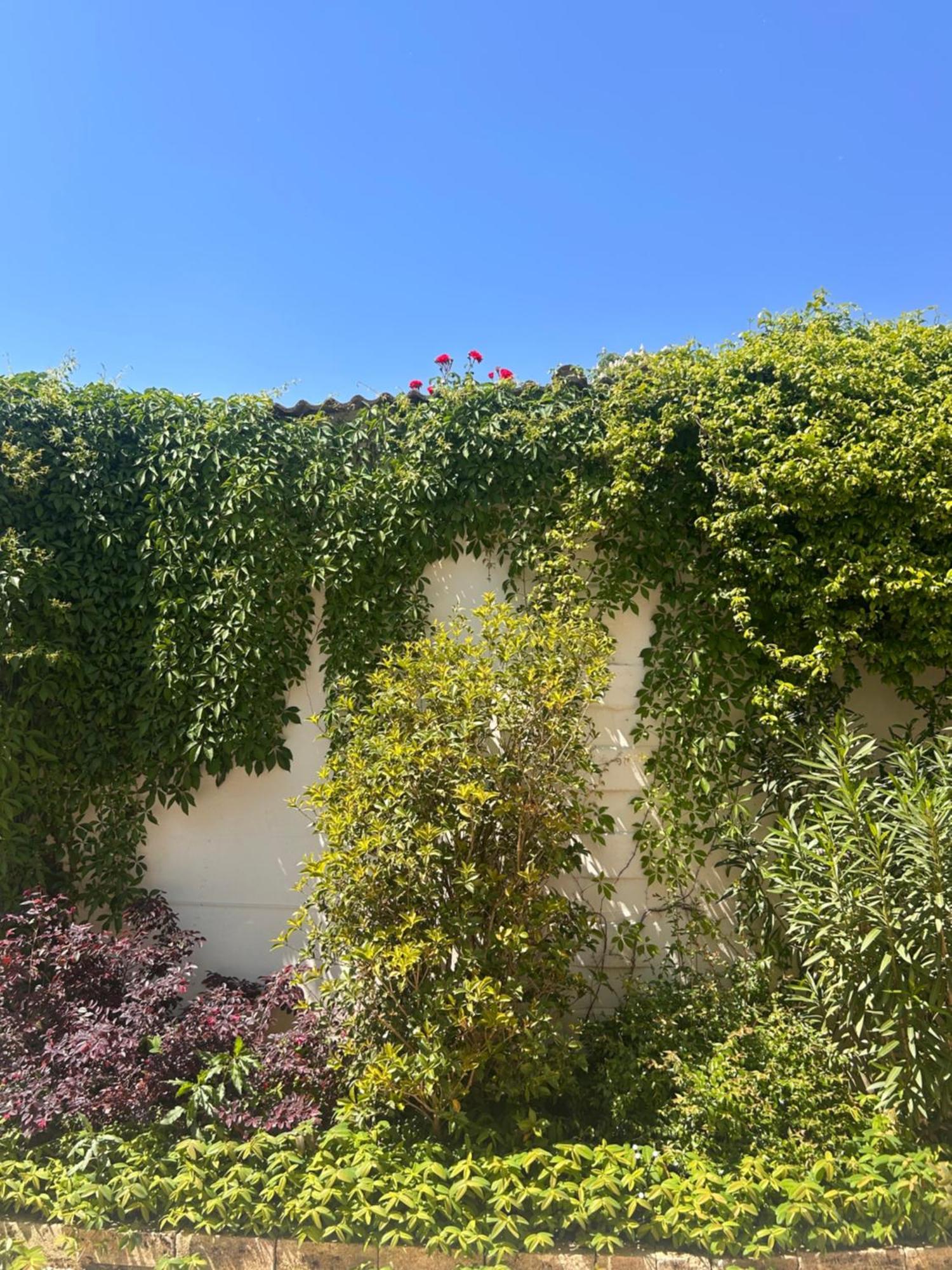 Pizzighettone Residenza La Corte Exterior foto